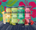 Modelo aguas frescas 4.5% x1